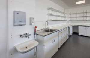 Industrial laboratory sink options